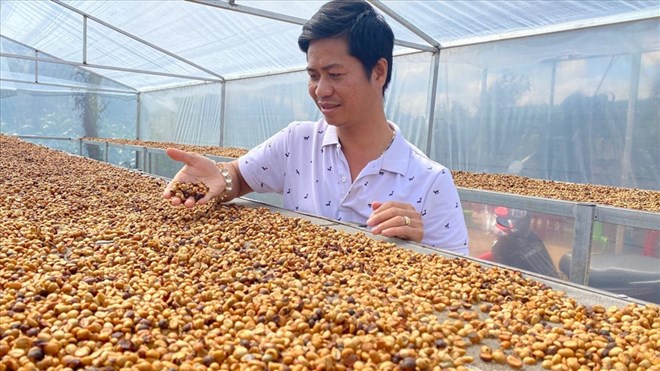 Anh nông dân giữ hồn cho… ly cà phê Ban Mê