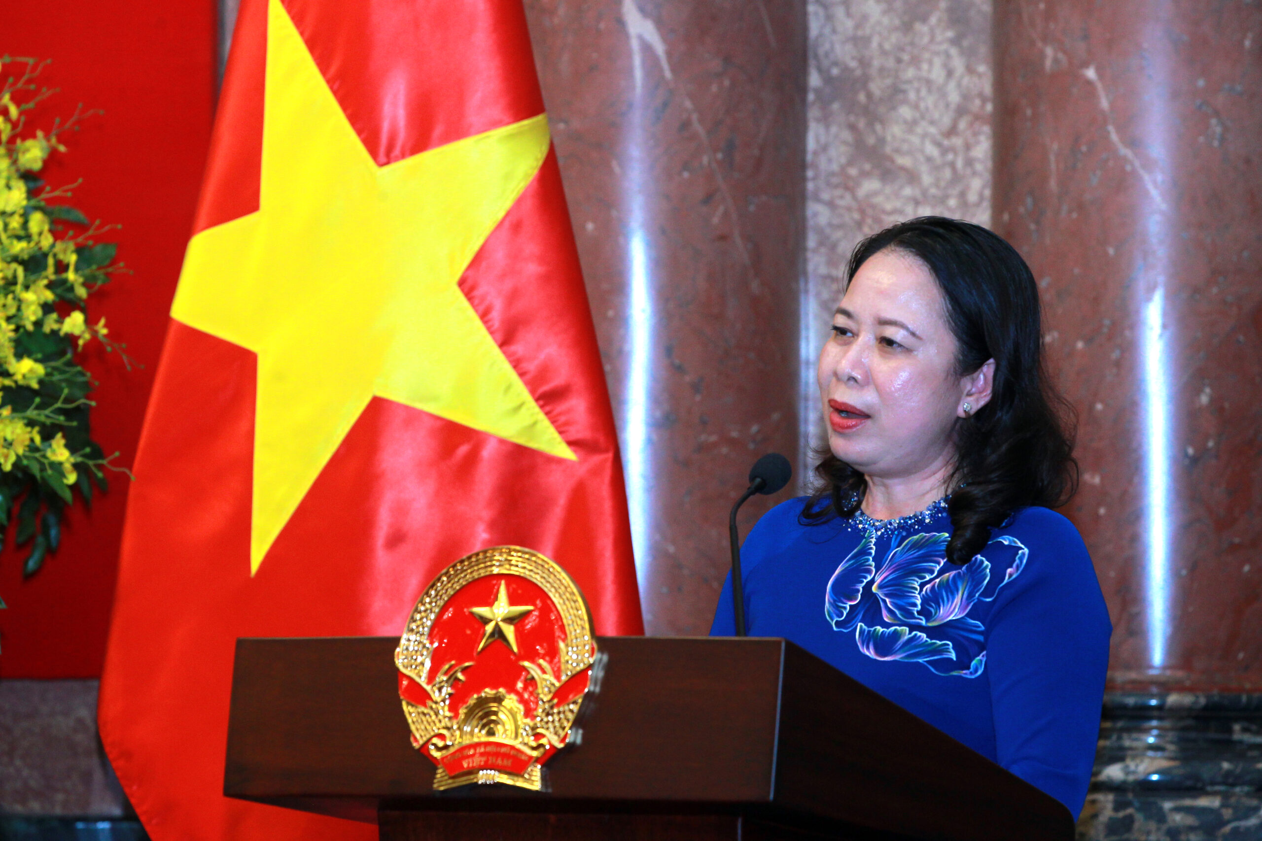 Quyền Chủ tịch nước Võ Thị Ánh Xuân phát biểu tại buổi gặp mặt.